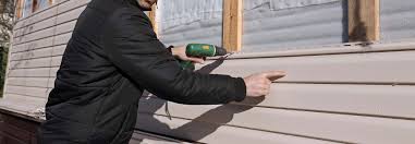 Best Vinyl Siding Installation  in Burgettstown, PA